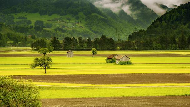 Picture of rural properties 