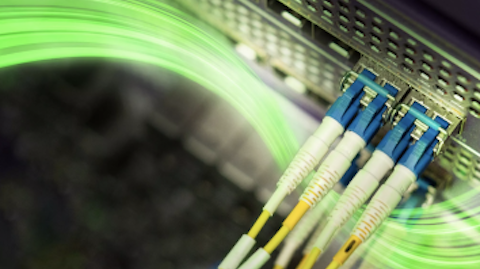 Fibre